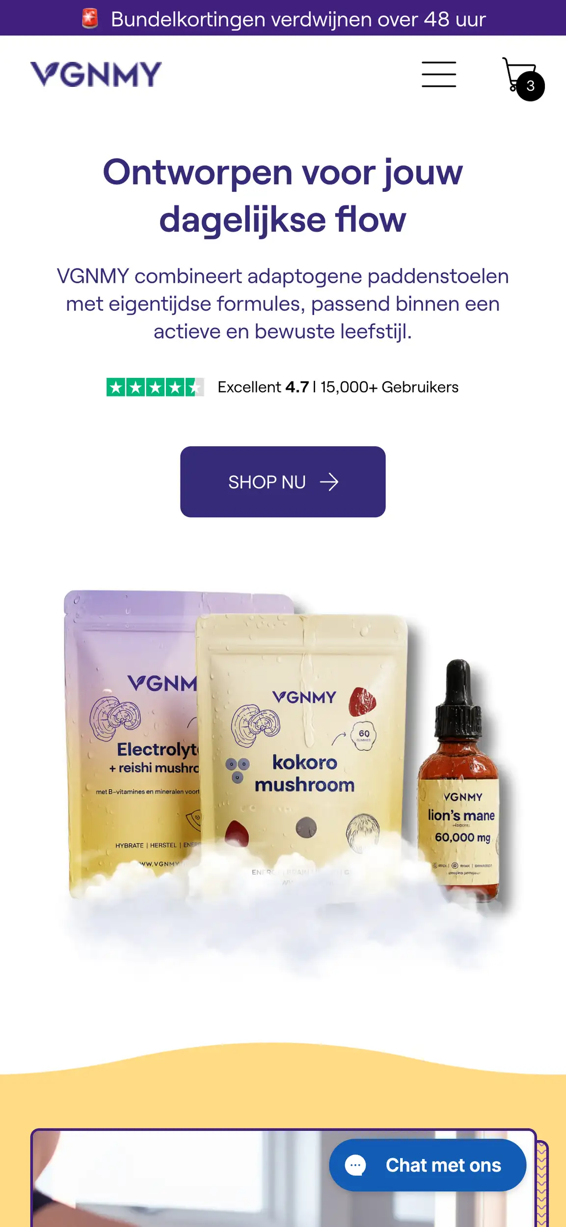 VGNMY bedrijfswebsite, een recente websitecase van Areza